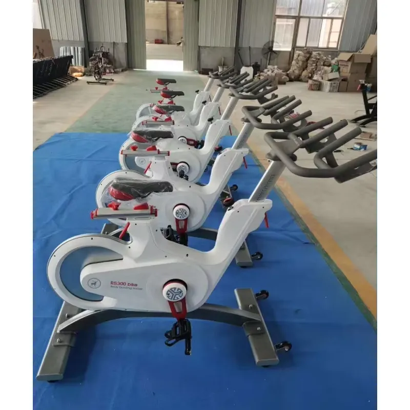 Sepeda Spinning Magnetik Profe - Home Gym Resistance ulasan dan harga