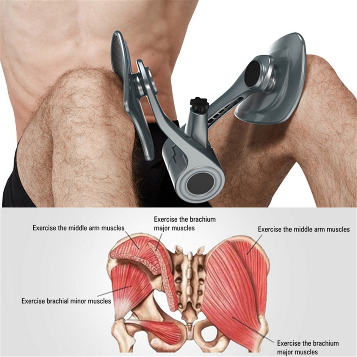 Alat Latihan Otot POPULAR-PC u - Home Gym Floor ulasan dan harga