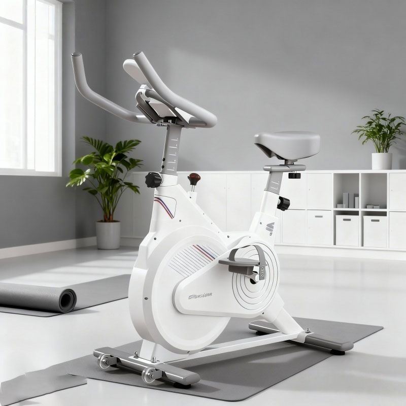 Sepeda Spin Statis Dalam Ruang - Home Gym Ideas ulasan dan harga